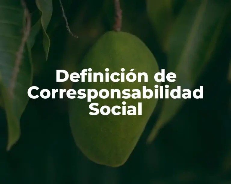 Definición de Corresponsabilidad Social