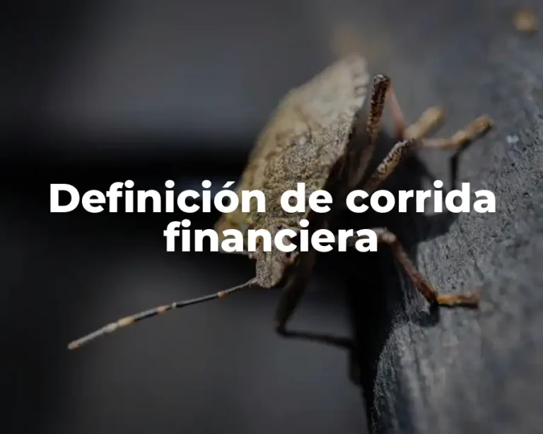 Definición de corrida financiera