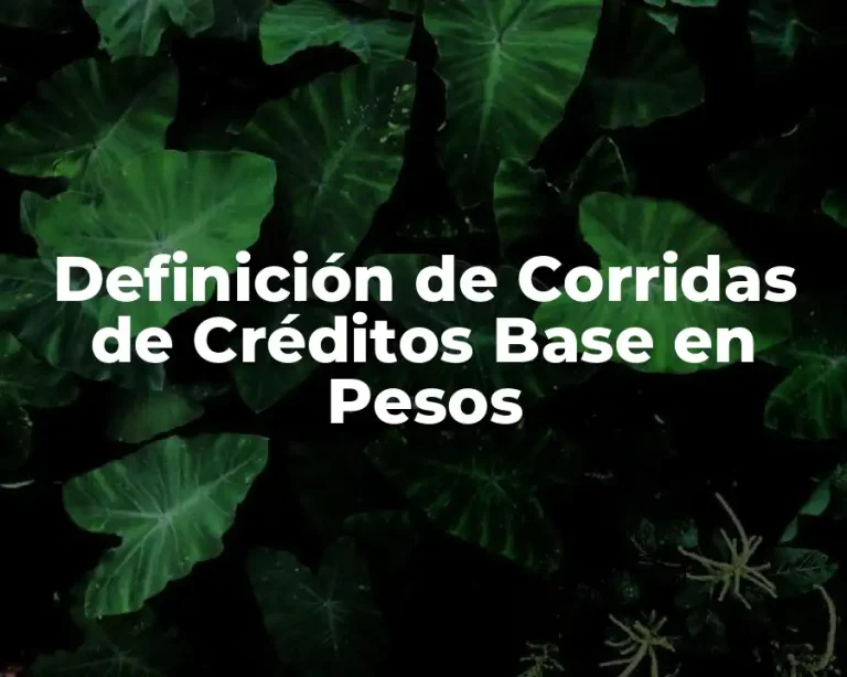 Definición de Corridas de Créditos Base en Pesos