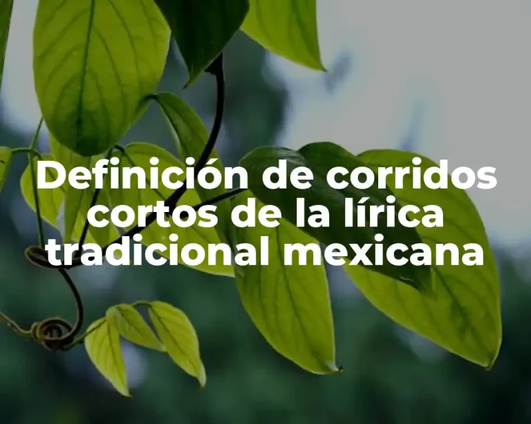 Definición de corridos cortos de la lírica tradicional mexicana