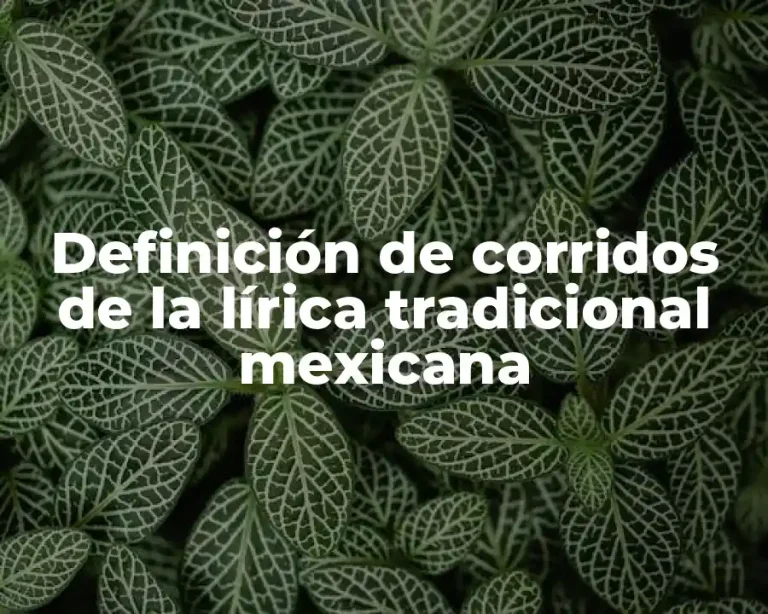 Definición de corridos de la lírica tradicional mexicana