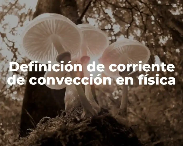Definición de corriente de convección en física