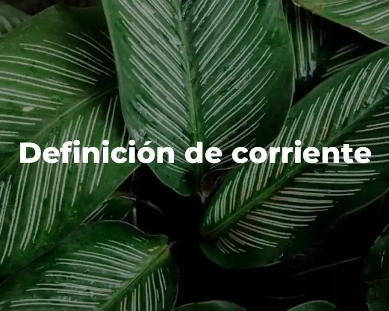 Definición de corriente