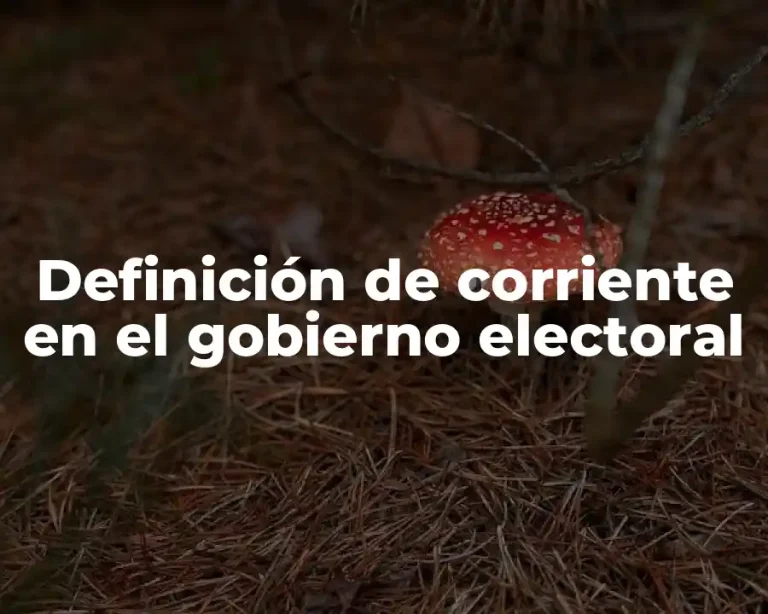 Definición de corriente en el gobierno electoral