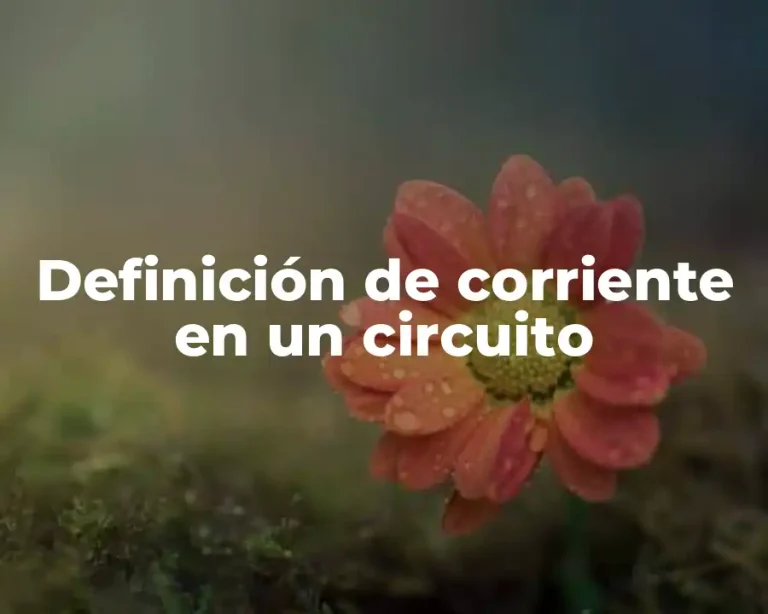 Definición de corriente en un circuito