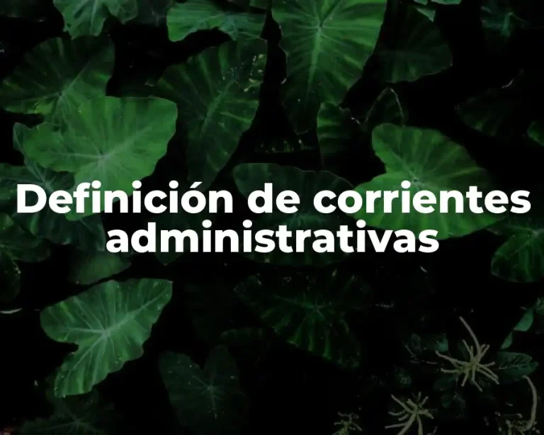 Definición de corrientes administrativas