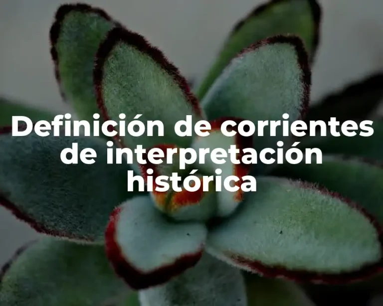 Definición de corrientes de interpretación histórica