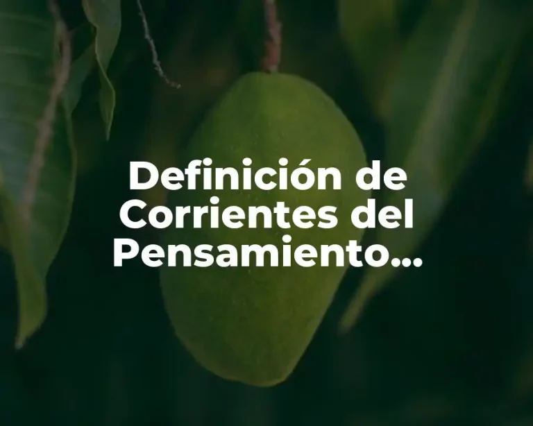 Definición de Corrientes del Pensamiento Económico