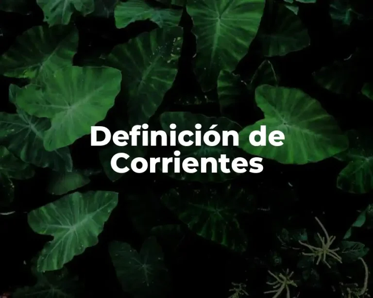 Definición de Corrientes