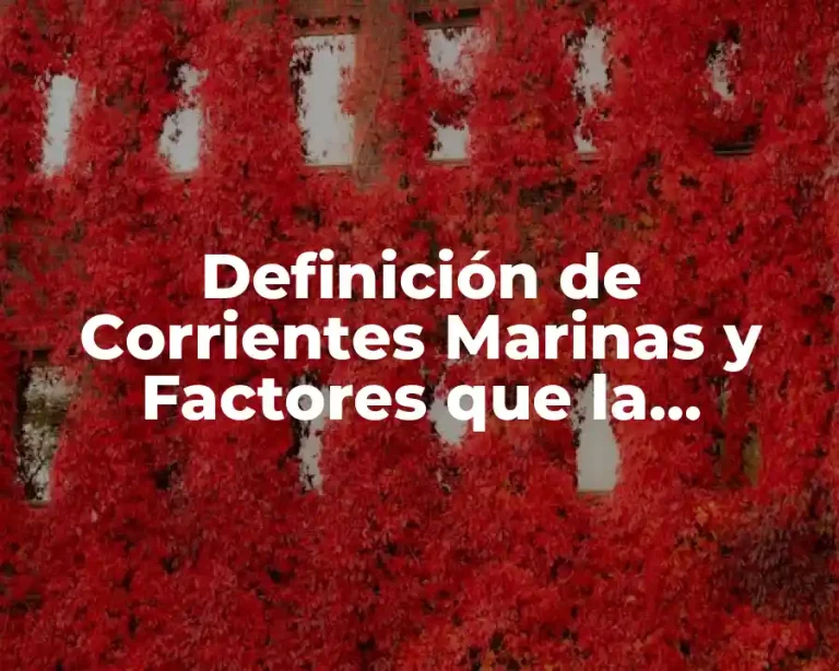 Definición de Corrientes Marinas y Factores que la Provocan