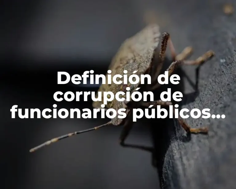 Definición de corrupción de funcionarios públicos en México