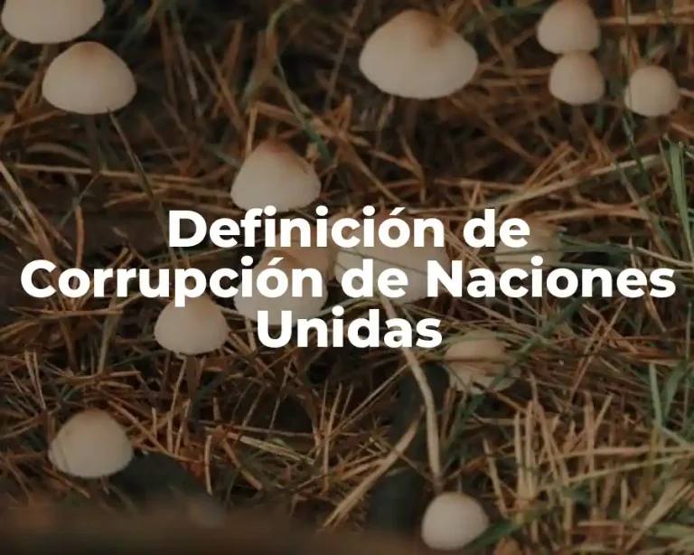 Definición de Corrupción de Naciones Unidas