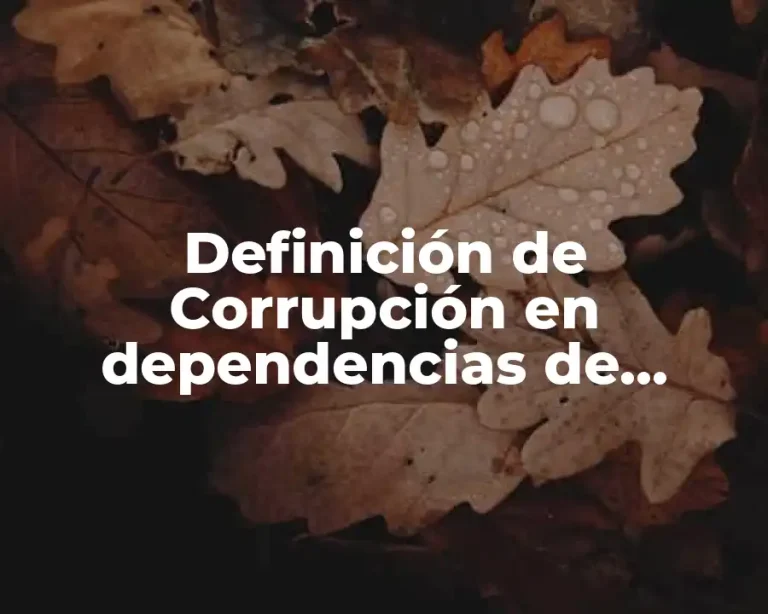 Definición de Corrupción en dependencias de gobierno