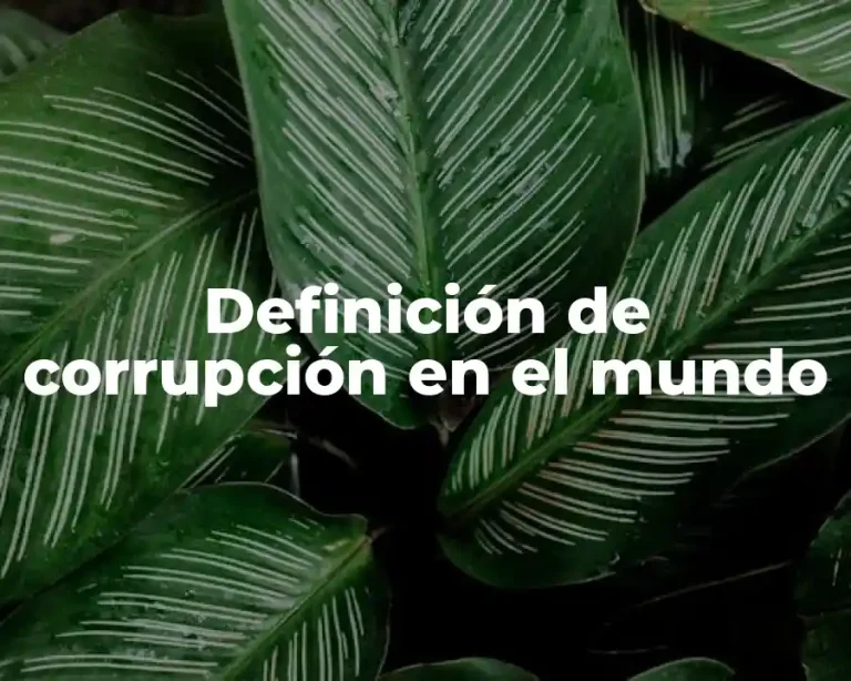 Definición de corrupción en el mundo