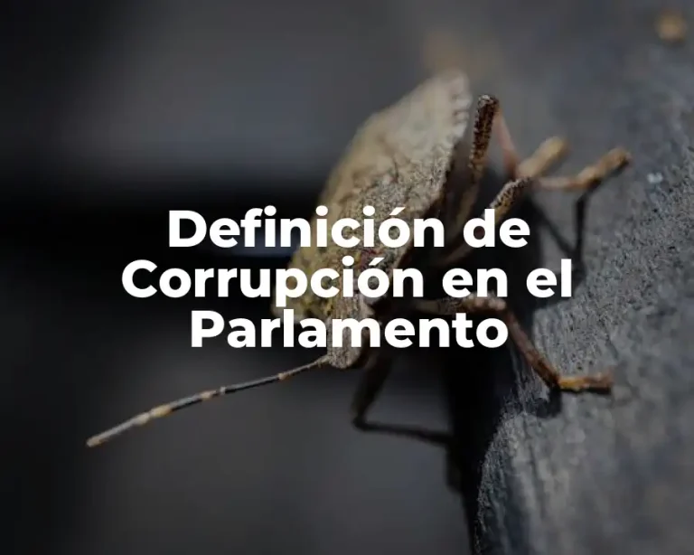 Definición de Corrupción en el Parlamento
