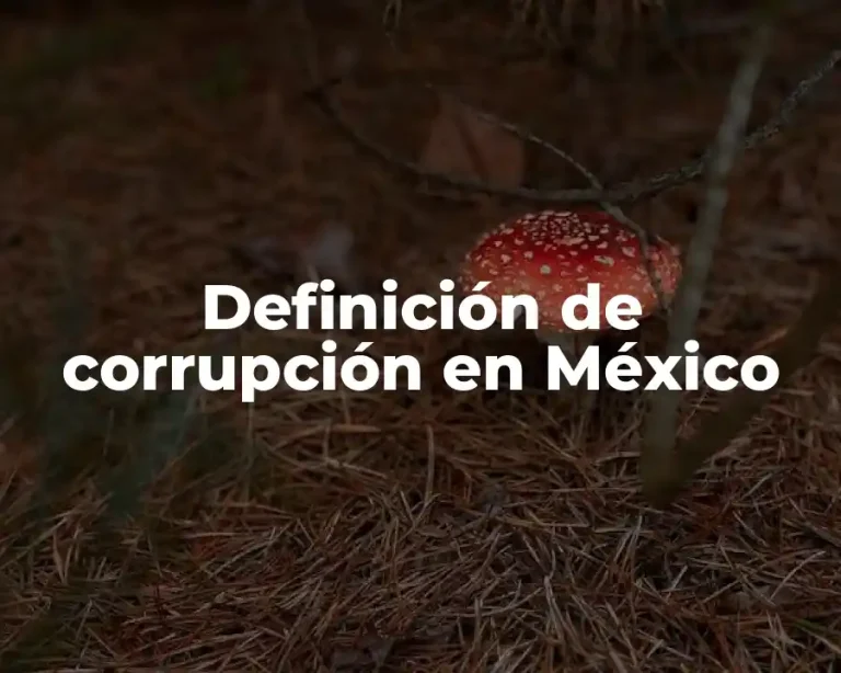 Definición de corrupción en México