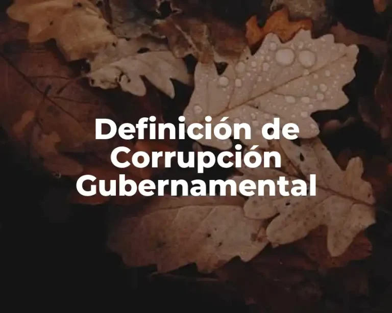 Definición de Corrupción Gubernamental