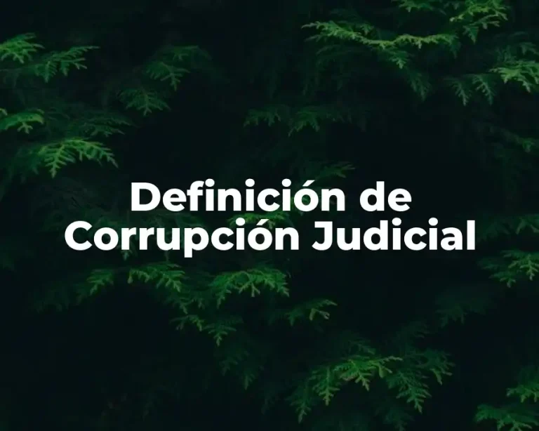 Definición de Corrupción Judicial