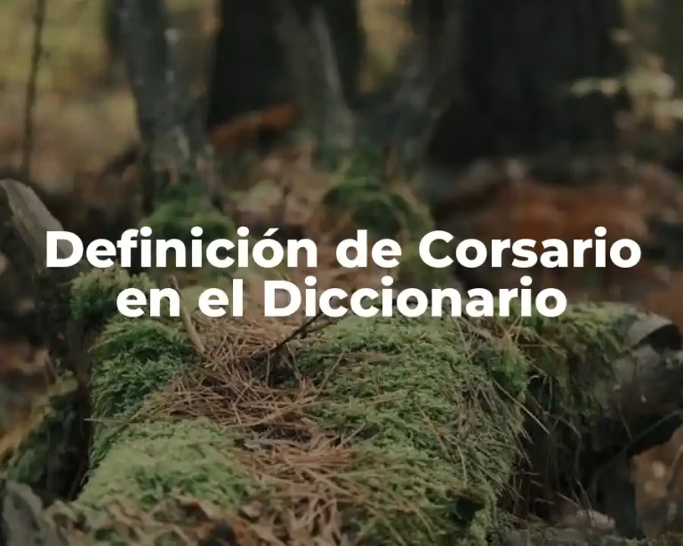 Definición de Corsario en el Diccionario