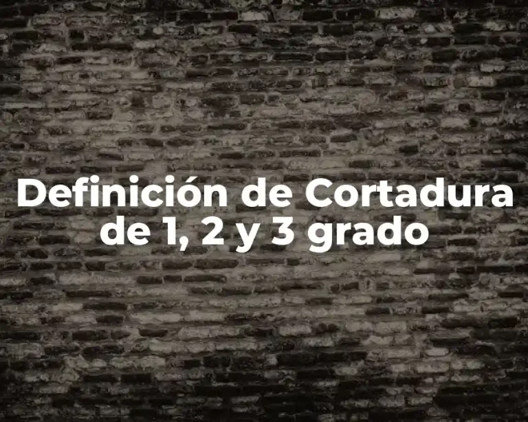 Definición de Cortadura de 1, 2 y 3 grado
