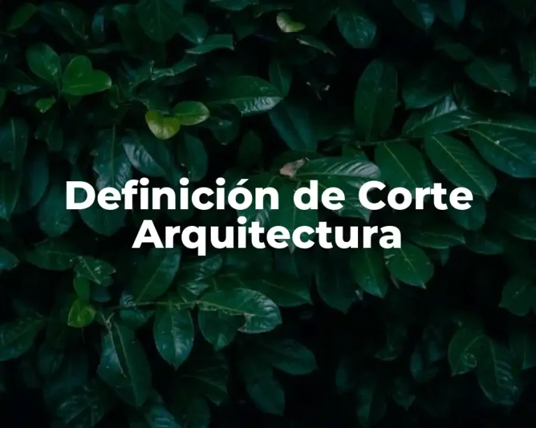 Definición de Corte Arquitectura