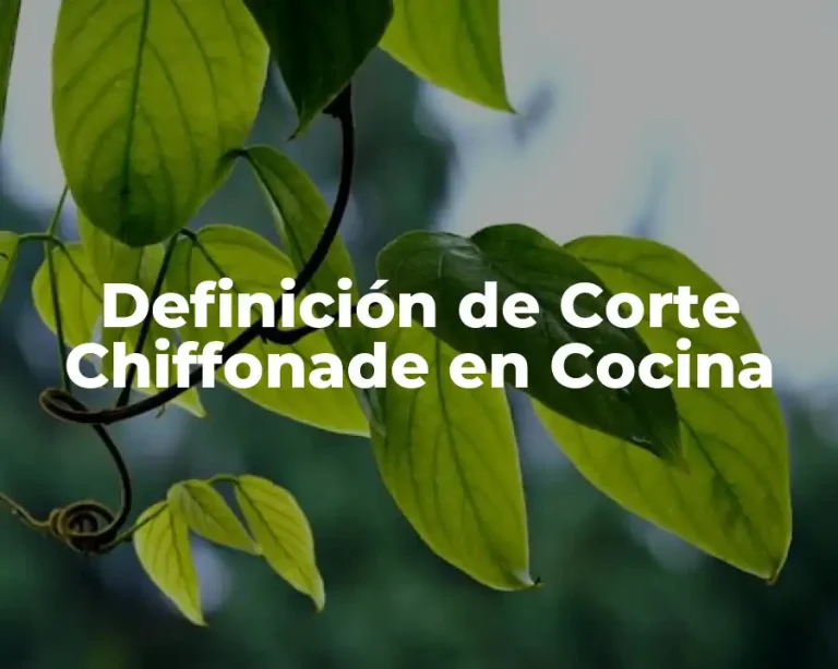 Definición de Corte Chiffonade en Cocina