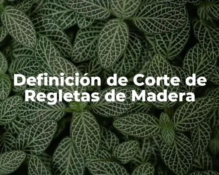 Definición de Corte de Regletas de Madera
