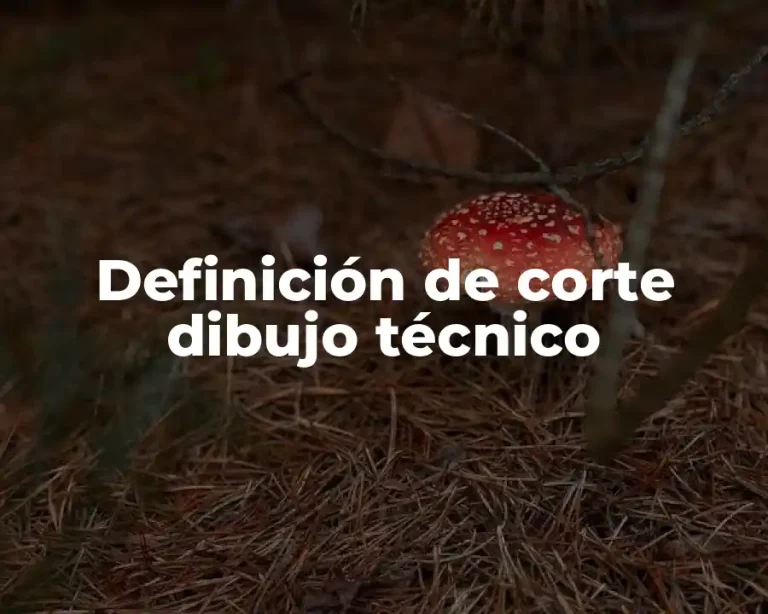 Definición de corte dibujo técnico