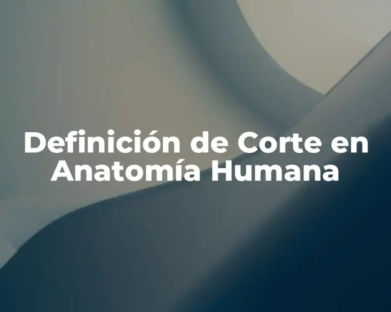 Definición de Corte en Anatomía Humana