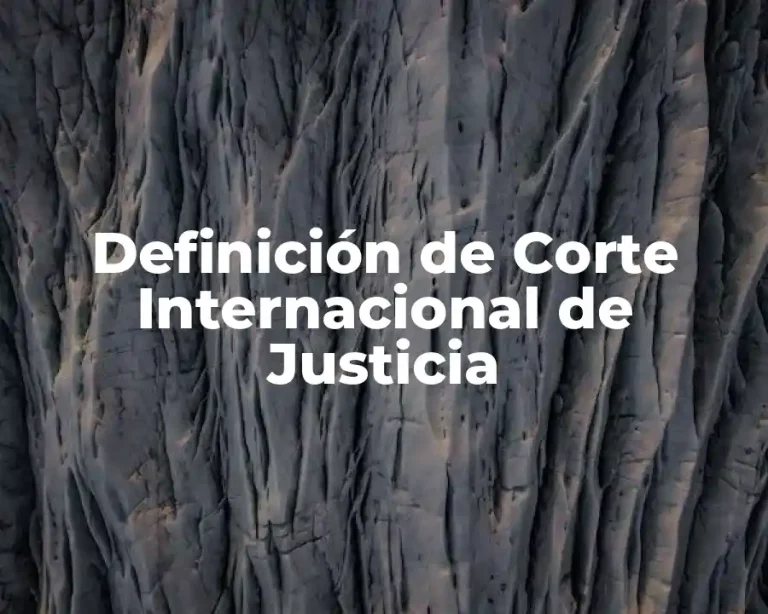 Definición de Corte Internacional de Justicia