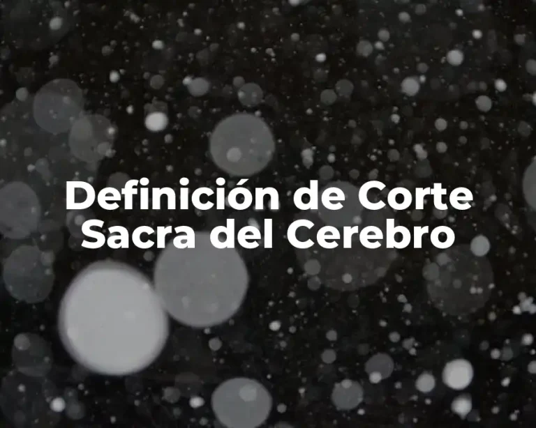 Definición de Corte Sacra del Cerebro