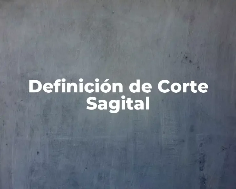 Definición de Corte Sagital