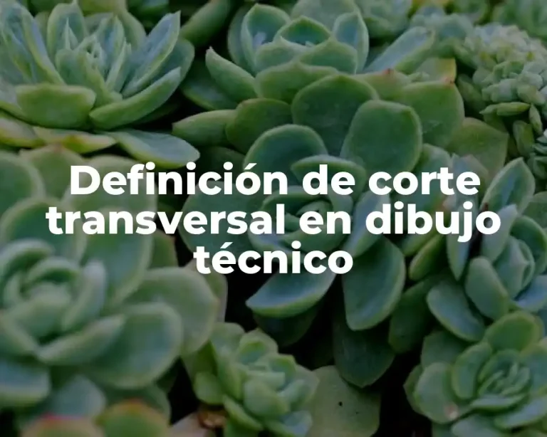 Definición de corte transversal en dibujo técnico