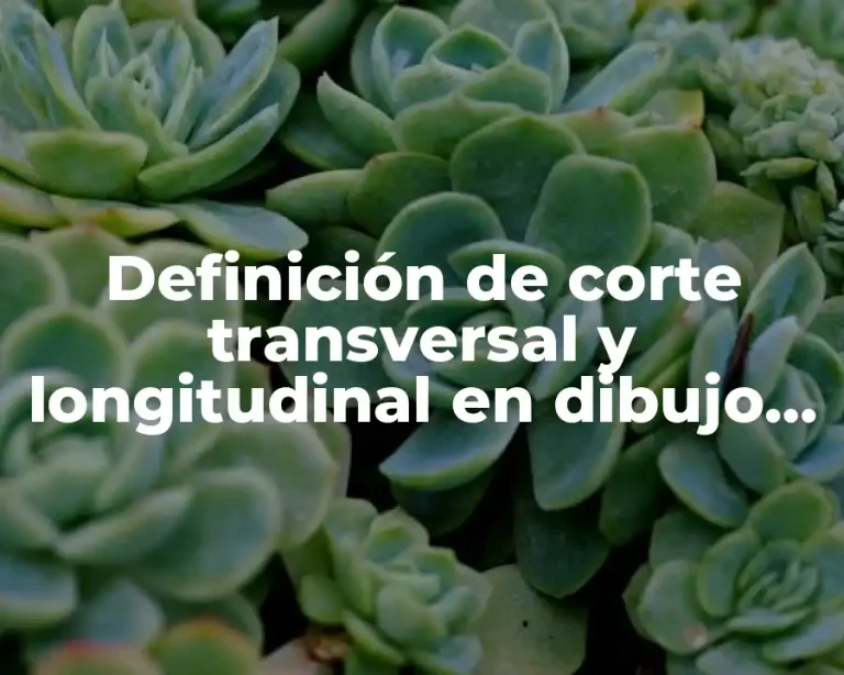 Definición de corte transversal y longitudinal en dibujo técnico