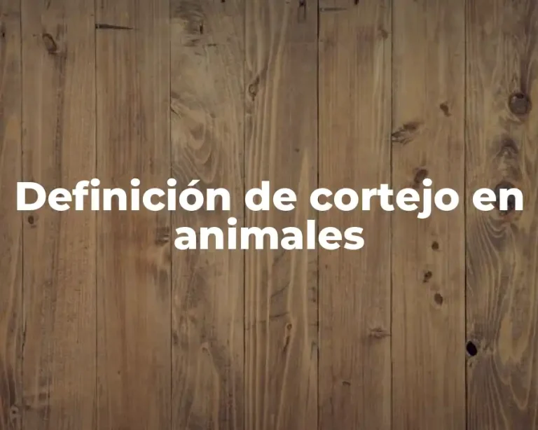 Definición de cortejo en animales