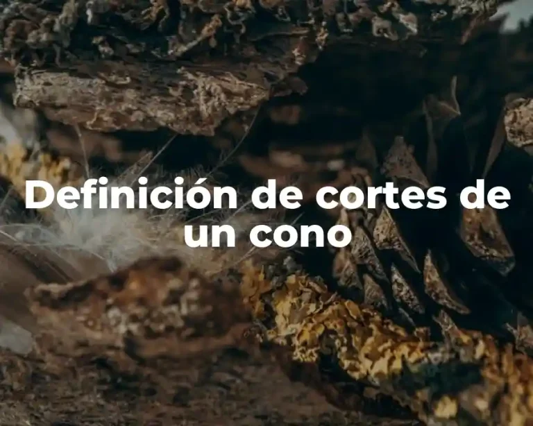 Definición de cortes de un cono