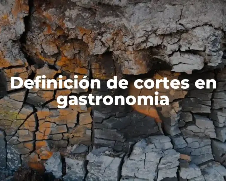 Definición de cortes en gastronomia