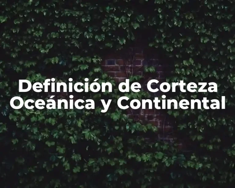 Definición de Corteza Oceánica y Continental