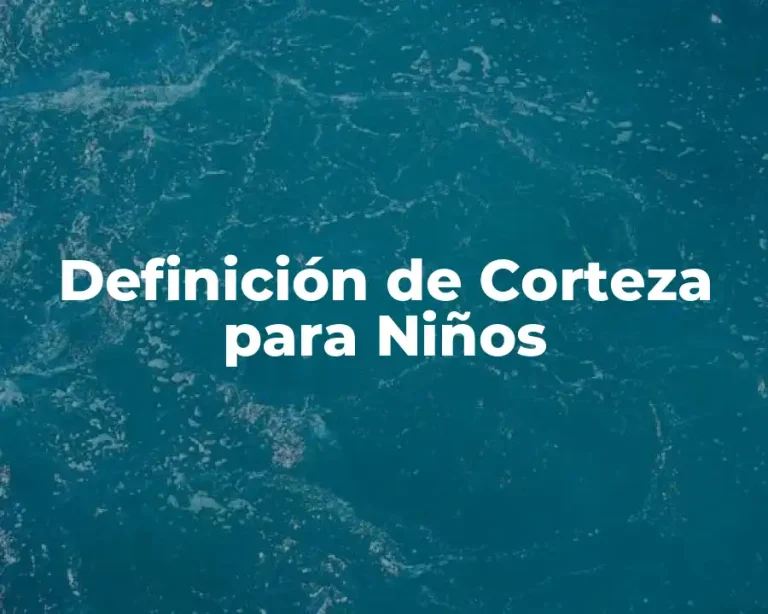 Definición de Corteza para Niños