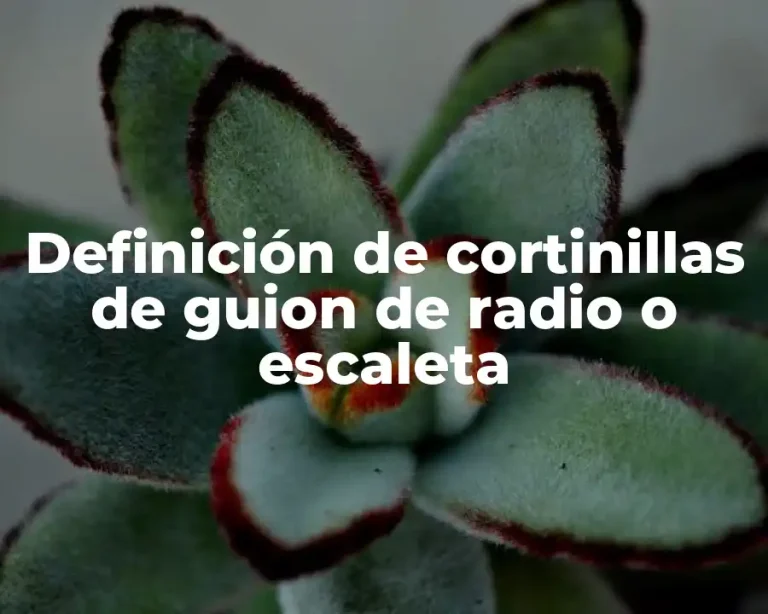 Definición de cortinillas de guion de radio o escaleta