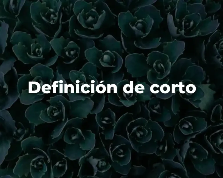 Definición de corto