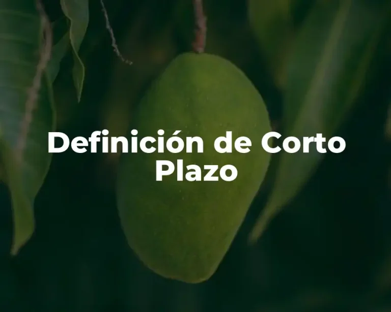 Definición de Corto Plazo