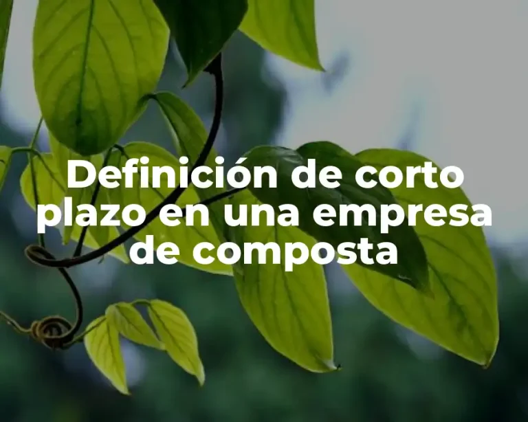 Definición de corto plazo en una empresa de composta