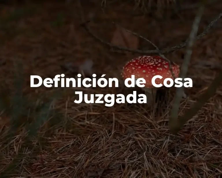 Definición de Cosa Juzgada