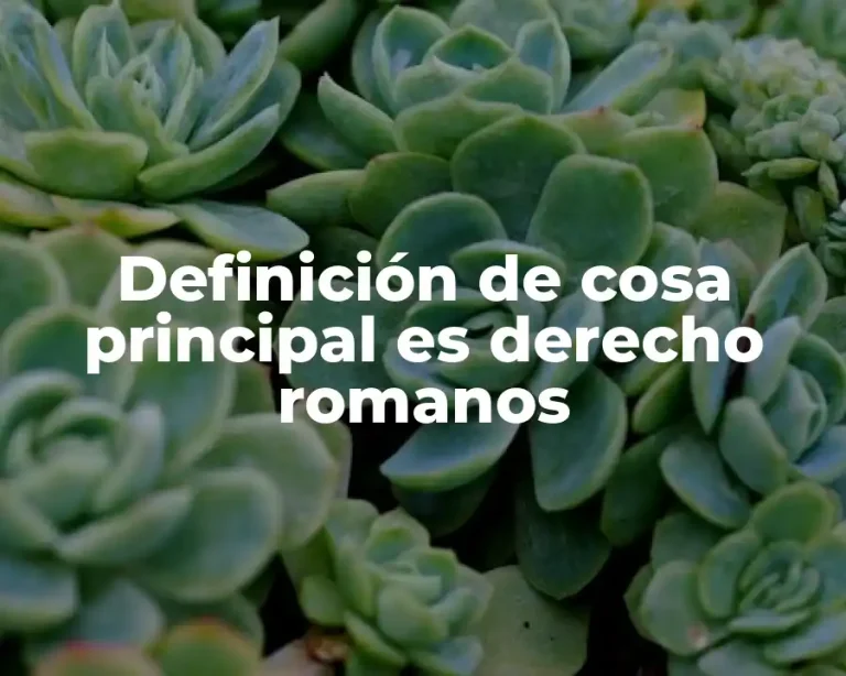 Definición de cosa principal es derecho romanos