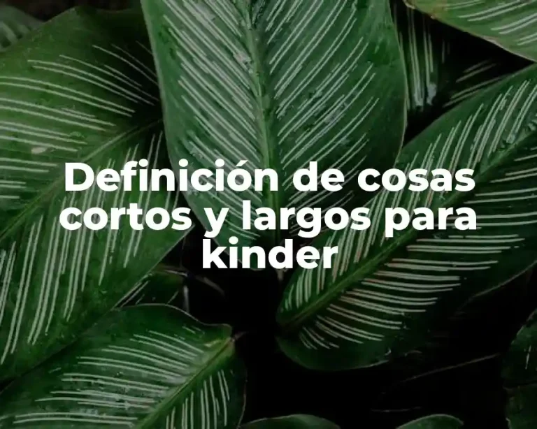 Definición de cosas cortos y largos para kinder