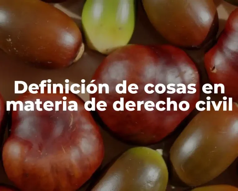 Definición de cosas en materia de derecho civil