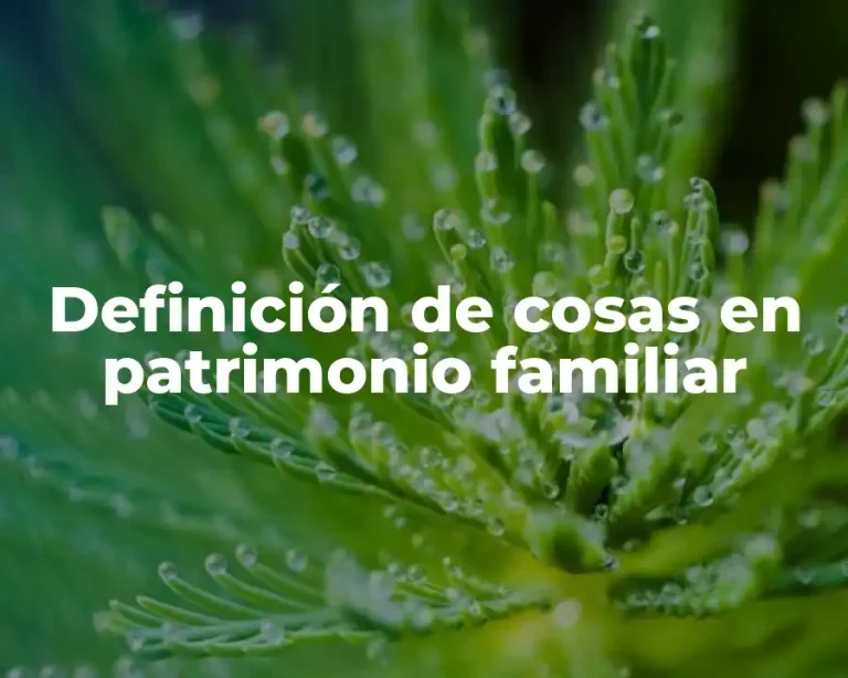 Definición de cosas en patrimonio familiar