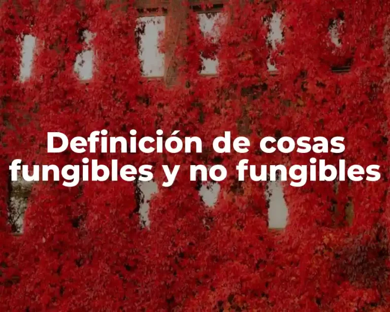 Definición de cosas fungibles y no fungibles