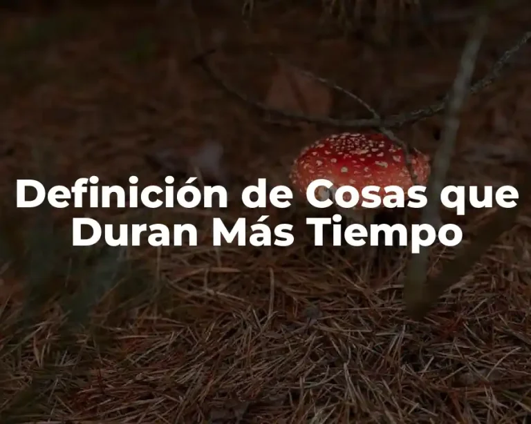 Definición de Cosas que Duran Más Tiempo